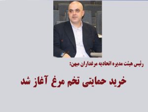 خرید حمایتی تخم مرغ آغاز شد