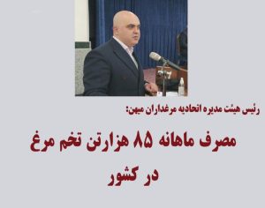 مصرف ماهانه 85 هزار تخم مرغ در کشور