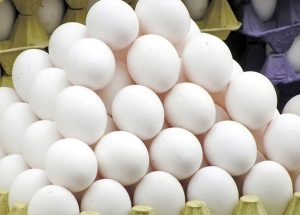 مدیریت ملوک‌الطوایفی؛ واردات تخم‌مرغ با وجود مازاد تولید داخل